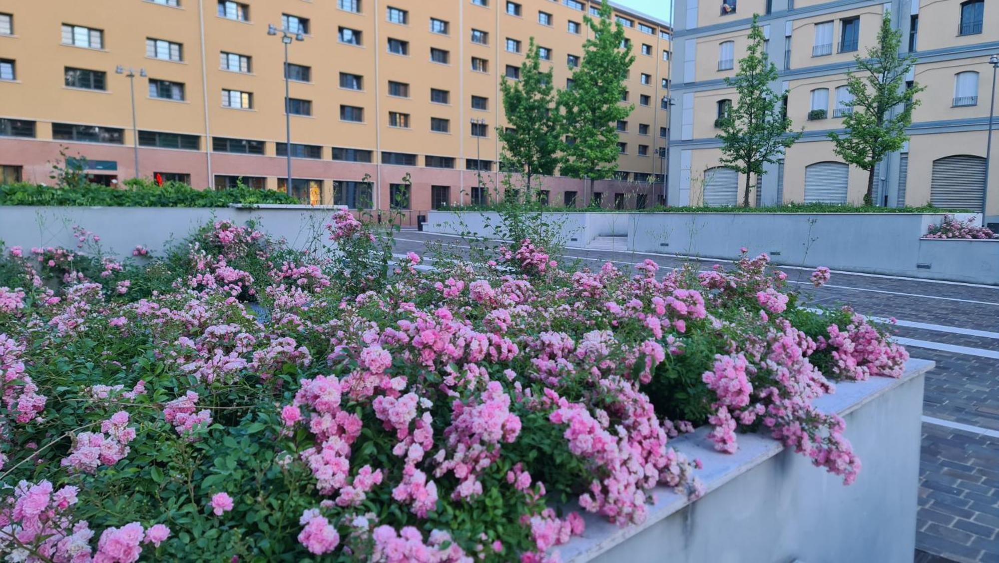 Milan Space Loft - Apartment Close To M5 Subway - Free Parking - Sky & Netflix Tv Exteriör bild